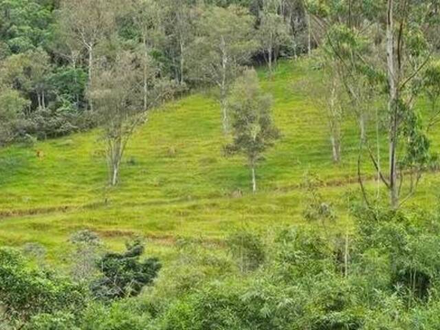 #32 - Chácara para Venda em São José dos Campos - SP